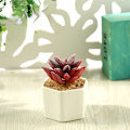 Miniatyrbild 1 av 11: Konstgjord Suckulent Växt Bonsai (Kruka Ingår) Konstgjord Blomma Kreativ Dekoration Konstgjord Växt Small smiling Lotus flocking Red