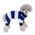 Miniatyrbillede 2 af 11: Efterår Varmt Kæledyrstøj Teddy Lille Hund Green XXL