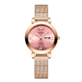 Miniatyrbillede 6 af 11: Quartz Ur Ikke-Mekanisk Dameur Lysende Vandtæt Dobbelt Kalender Kvinde Studerende Stålrem Ur Rose gold green surface