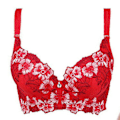 Miniatyrbild 1 av 4: Broderad BH för Kvinnor Sexig Push Up BH C D Kupa Underkläder Red 36D