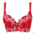Pikkukuva 5 / 5: Kirjailtu rintaliivi naisille, seksikäs push-up-rintaliivit C D -kuppi alusvaatteet Beige 36D