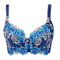 Miniatyrbild 1 av 4: Broderad BH för Kvinnor Sexig Push Up BH C D Kupa Underkläder Blue 36C