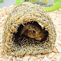 Miniatyrbillede 3 af 5: Græshus Tunnel Kaninhus Vævet Hytte til Lægning eller Sovning Spiselig Tyggested Hjem til Kaniner og Små Dy