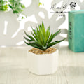 Miniatyrbild 6 av 11: Konstgjord Suckulent Växt Bonsai (Kruka Ingår) Konstgjord Blomma Kreativ Dekoration Konstgjord Växt Small smiling Lotus flocking Red