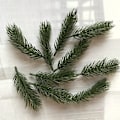 Miniatyrbillede 3 af 11: 10 stk. fyrgrene kunstig falsk plante kunstig blomstergren julefest dekoration DIY tilbehør buket gaveæske geen small