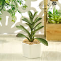 Miniatyrbild 1 av 11: Konstgjord Suckulent Växt Bonsai (Kruka Ingår) Konstgjord Blomma Kreativ Dekoration Konstgjord Växt Multi-leaf tree Green