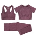 Pikkukuva 1 / 11: Joogasetti treenipaidat urheiluhousut rintaliivit kuntosalivaatteet shortsit naisille 3pcs ShortPurple S
