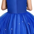 Miniatyrbild 5 av 7: Flicka Bröllop Prinsessklänning Barn Halloween Fest Askungen Cosplay Kostym Blå Ärmlös Mesh Balklänning Barnkläder 2T Dress Sets B3