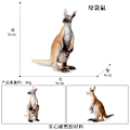 Pikkukuva 7 / 11: Kenguru Mallisarja Lasten Simulaatio Eläinmalli Syntymäpäiväkakun Koristelu Kangaroo 4 sets [0.16kg]]