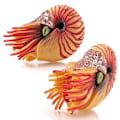 Miniatyrbillede 4 af 4: Simuleringsmodel af havdyr, eremitkrebs, nautilus, akvariumpynt, figurer, actionfigurer, børns pædagogiske legetøjsgave A