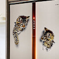 Miniatyrbild 2 av 5: 2 3D Katt Bakgrundsbilder För Dekoration av Badrum Toalett Vardagsrum