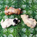 Miniatyrbillede 4 af 11: Oenux Dejlige Fransk Bulldog Dyr Sød Hvalp Sovende Dovne Hund Actionfigurer Model Figur PVC Boligindretning Uddannelseslegetøj without box4