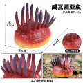 Miniatyrbillede 9 af 11: Marine Dyremodel Forhistorisk Trilobit Reje Krysantemum og Sten Kambrisk Nautilidae Pladefod Krabbe Børn Undervisningslegetøjsmodel M-1557 small Nautilidae