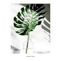 Miniatyrbillede 4 af 5: Wekity Ord Kunst og Plante Blad Sammensætning af Kunst Lærredsprint Plakat, Simpel Mode Kunst Tegning Indretning til Hjem Stue Soveværelse Kontor (Sæt med 3 U