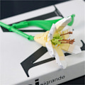 Miniatyrbillede 1 af 11: DIY Solsikker Tulipaner Roser Jasmin Planter Gypsophila Haver Romantiske Byggeklodser Klassisk Model Klodser Børnesæt Kits Legetøj Without Box7