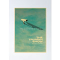 Miniatyrbild 1 av 11: Klassiska Filmer The Shawshank Redemption/Green Book/The Truman Show/Flipped Affischer Väggkonst Målningar för Hemrum Väggdekorationer 42X30cm-A3-No Frame R01912