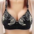 Miniatyrbild 4 av 4: Spets BH Plus Size Dam Underkläder Bralette Sexig Push Up BH Red 38/85BC