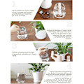 Miniatyrbillede 3 af 5: Drypvandingssæt (10 stk.) - Sonde til selvvandende stueplanter, blomster og bonsai - Apparat til hjemlig, automatisk og videnskabelig vanding