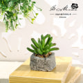 Pikkukuva 6 / 11: Pieni kiviruukku keinotekoinen mehikasvi ruukkukasvi (ruukku sisältyy) muoti kodin sisustus simulaatio kasvi keinotekoiset kukat Small smiling Lotus flocking Green