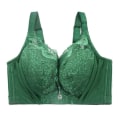 Miniatyrbillede 1 af 4: Store BH'er til Kvinder Sexet Blonde BH Push Up Bøjle Undertøj Green 42E
