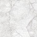 Pikkukuva 1 / 4: WL-10237-PARENT Vaaleanharmaa Light Grey