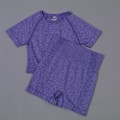 Pikkukuva 8 / 11: Joogasetti Urheilupuku Treenausvaatteet Lyhythihainen Crop Top Joogashortsit Naisille gray set M