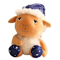 Pikkukuva 3 / 5: Rainbow Ruby Teddy Bear Plushie Toys, Plush Cartoon Animal Bear - 25cm