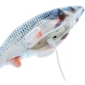 Miniatyrbild 3 av 4: Elektrisk fiskleksak för katt, rörlig fiskleksak med kattmynta, plyschleksak, USB-laddning, 3D-simulering, aktiv docka Carp