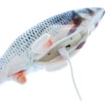 Miniatyrbillede 3 af 4: Elektrisk kattefisk legetøj bevægelig fisk catnip plys legetøj USB opladning 3d simulering aktive dukker Carp