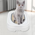 Miniatyrbillede 4 af 4: Katte Toilettraeningssystem Genanvendelig Plast Sandkasse Måtte Katte Træner Genanvendelig Automatisk Træner Gray