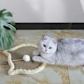 Miniatyrbild 4 av 5: Kattklös, Scratch Chat Kartong För Kattskrapa För Katter I Kartongskål I Kartongskrapa