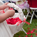 Miniatyrbilde 3 av 5: 1000 stykker silke roseblader, kunstige røde roseblomster uten smak, falming emulering roseblader for romantiske scener bryllupsdag, tilståelse