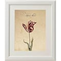Miniatyrbild 4 av 4: Paket med 3 "Red One" ramar. Tre A4-ark. Affischer med botaniska bilder. Ramlös