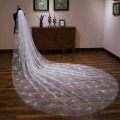Miniatyrbild 4 av 5: för 3M Single Layer Women's White Trailing Long Wedding Veil Seashell Spray Glitter R