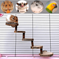 Miniatyrbillede 2 af 5: Hamster tyggelegetøj i træ, hamsterstige, hamster klatring til