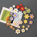 Miniatyrbild 3 av 5: (30 st) Söta 3D-blomster kylskåpsmagneter för vuxna, starka och färgglada