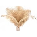 Miniatyrbillede 1 af 5: 24 stk. Naturlige hvide strudsefjer 10-12 tommer (25-30 cm) til bryllup