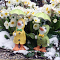 Miniatyrbillede 3 af 4: Dilly og Dally Have Duck, Have Dekoration, Par af Ænder, Han