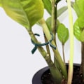 Miniatyrbillede 3 af 5: 100 stk. Haveklemmer til planter - Ideelle til at fastgøre planter til understøtninger