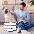 Miniatyrbillede 5 af 5: Fodbold til hundelegetøj, interaktiv fodbold, vandlegetøj til hunde