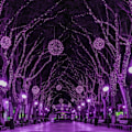 Pikkukuva 5 / 5: Halloween-valosarja ulkokäyttöön, 66 jalkaa 200 LED-valoa violetilla valolla