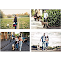 Pikkukuva 5 / 5: 5m Retractable Dog Leash, Telescopic Traction Rope with Non-Slip