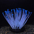 Miniatyrbillede 1 af 4: 1 stk. Anemone Kunstig Akvarieplanter Kunstig Akvarie Silico