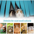 Miniatyrbilde 5 av 5: Lite Dyr Hamster Hengekøye Kjæledyr Gjemmested Bur Tilbehør Nes