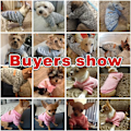Miniatyrbillede 4 af 5: Hundepullover, varm hundetrøje, kattetøj, fleece kæledyr frakke f