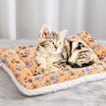 Miniatyrbillede 4 af 5: (56X38CM) Blødt kæledyrsfleece tæppe, hunde tæpper katte tæpper super