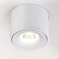 Miniatyrbilde 1 av 5: 15W LED-downlight for tak, justerbar lampehusvinkel, I