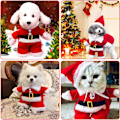 Miniatyrbillede 4 af 5: Hund og kat julemandskostume, jule kæledyrstøj sød julemand