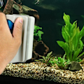 Miniatyrbillede 2 af 5: Magnetisk algeskraber, akvarierengøringsskrubber til fiskebeholder