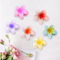 Miniatyrbilde 2 av 4: Hawaiian Flower Frangipani hårklemmer store søte blomster hårklemmer